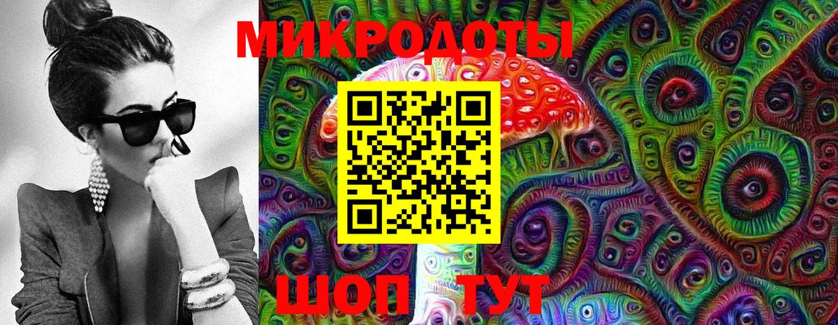 Галлюциногенные грибы Cubensis Волгоград