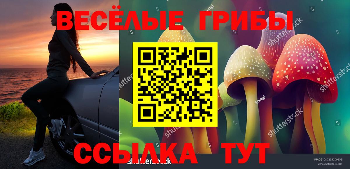 Волгоград  Галлюциногенные грибы прущие грибы  Вход с VPN 